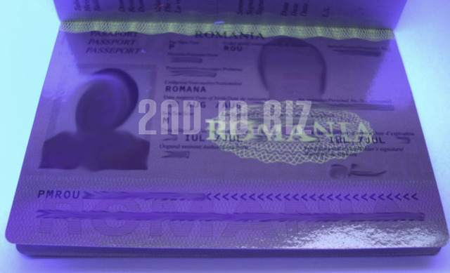 Image Hosted by PicturePush - Photo Sharing