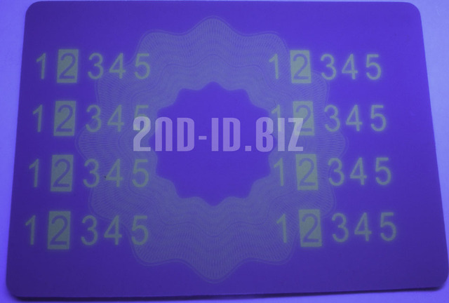 Image Hosted by PicturePush - Photo Sharing